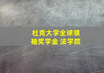 杜克大学全球领袖奖学金 法学院